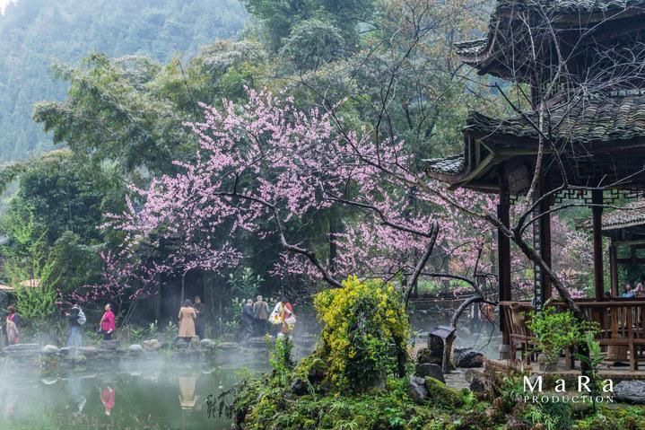 大部分男人为什么对主动靠近他的女人没有兴趣？游戏画面